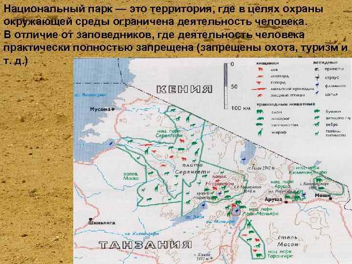 Национальный парк — это территория, где в целях охраны окружающей среды ограничена деятельность человека.