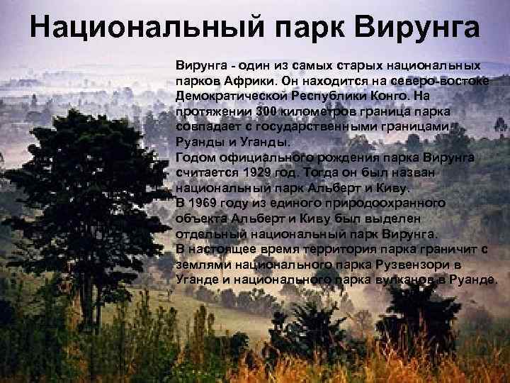 Национальный парк Вирунга - один из самых старых национальных парков Африки. Он находится на