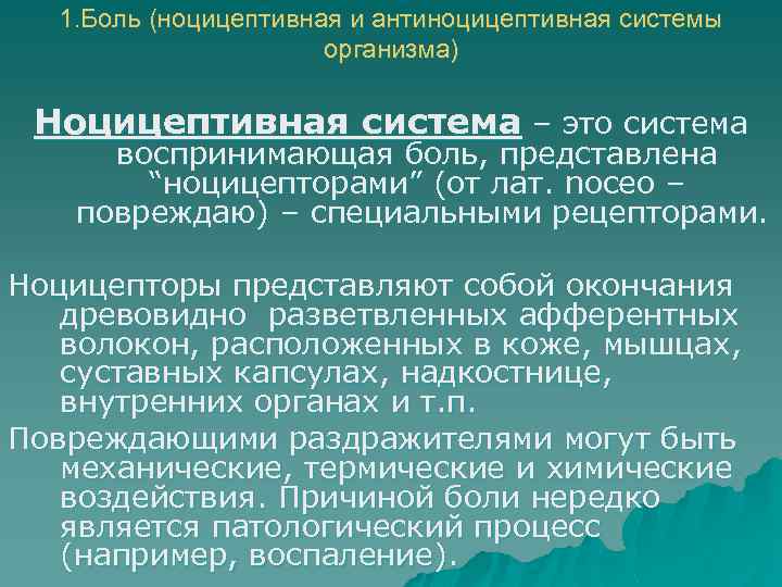 Ноцицептивная система. Понятие о ноцицептивной и антиноцицептивной системе.