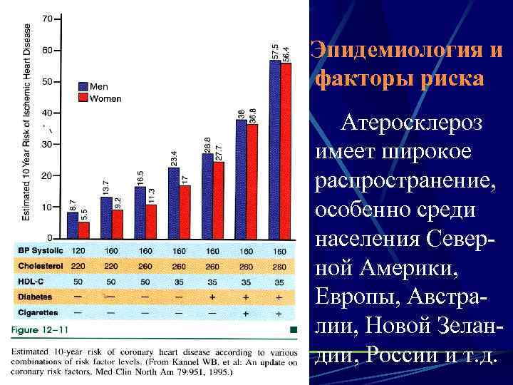 Эпидемиология и факторы риска Атеросклероз имеет широкое распространение, особенно среди населения Северной Америки, Европы,