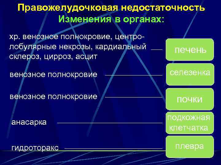Правожелудочковая недостаточность Изменения в органах: хр. венозное полнокровие, центролобулярные некрозы, кардиальный склероз, цирроз, асцит