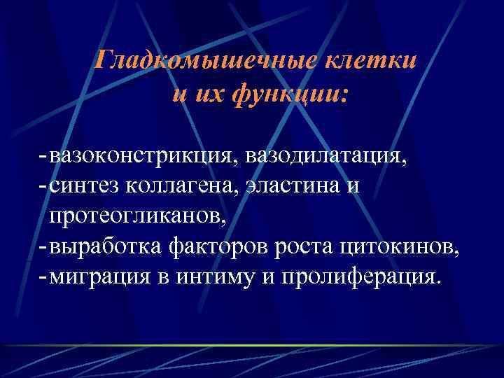 Гладкомышечные клетки и их функции: - вазоконстрикция, вазодилатация, - синтез коллагена, эластина и протеогликанов,