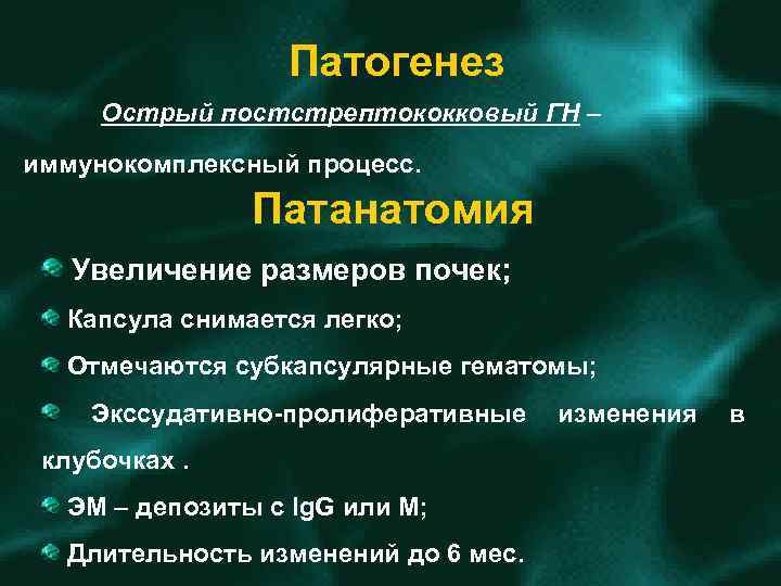 Патогенез Острый постстрептококковый ГН – иммунокомплексный процесс. Патанатомия Увеличение размеров почек; Капсула снимается легко;