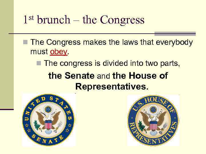 1 st brunch – the Congress n The Congress makes the laws that everybody