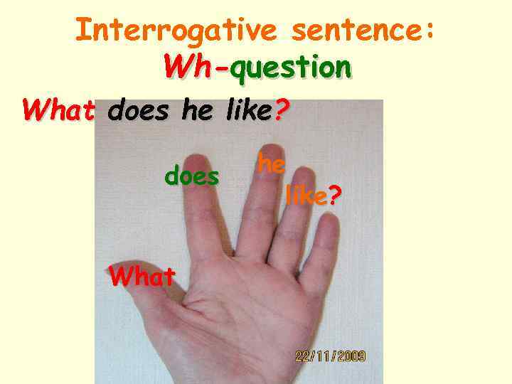 Interrogative sentence: Wh-question What does he like? does What he like? 