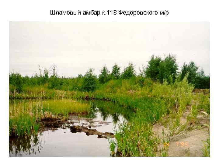 Шламовый амбар к. 118 Федоровского м/р 