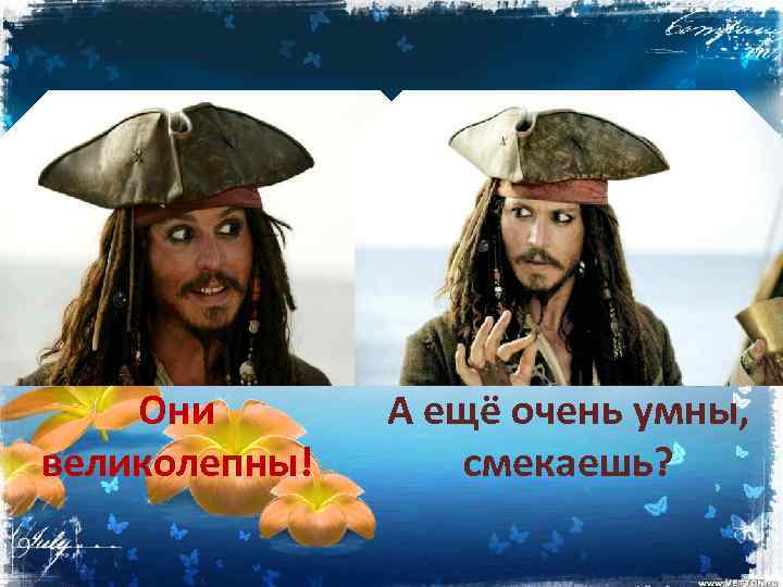 Они великолепны! А ещё очень умны, смекаешь? 