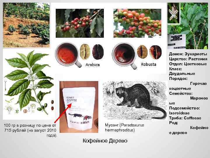 100 гр в розницу по цене от 715 рублей (на август 2010 года). Мусанг