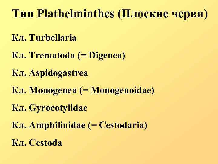 Тип Plathelminthes (Плоские черви) Кл. Turbellaria Кл. Trematoda (= Digenea) Кл. Aspidogastrea Кл. Monogenea