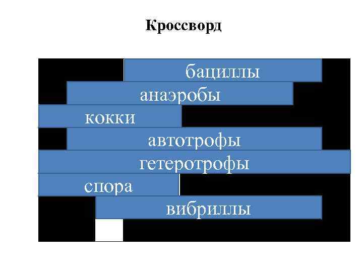 Кроссворд 1 2 кокки 3 автотрофы гетеротрофы 4 5 6 бациллы анаэробы спора 7