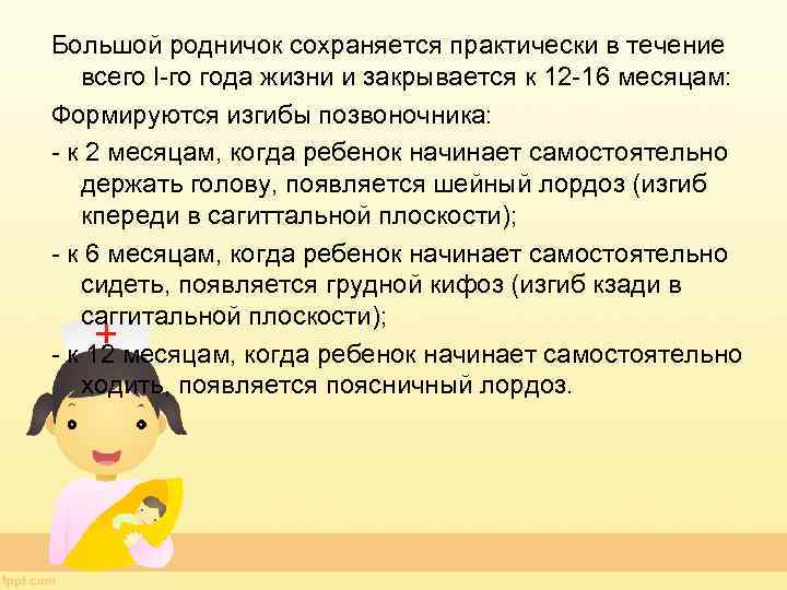 Большой родничок сохраняется практически в течение всего l-го года жизни и закрывается к 12
