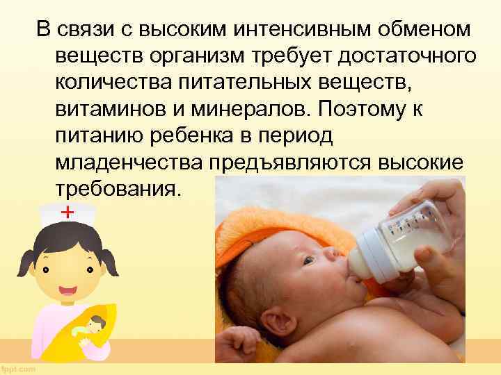В связи с высоким интенсивным обменом веществ организм требует достаточного количества питательных веществ, витаминов