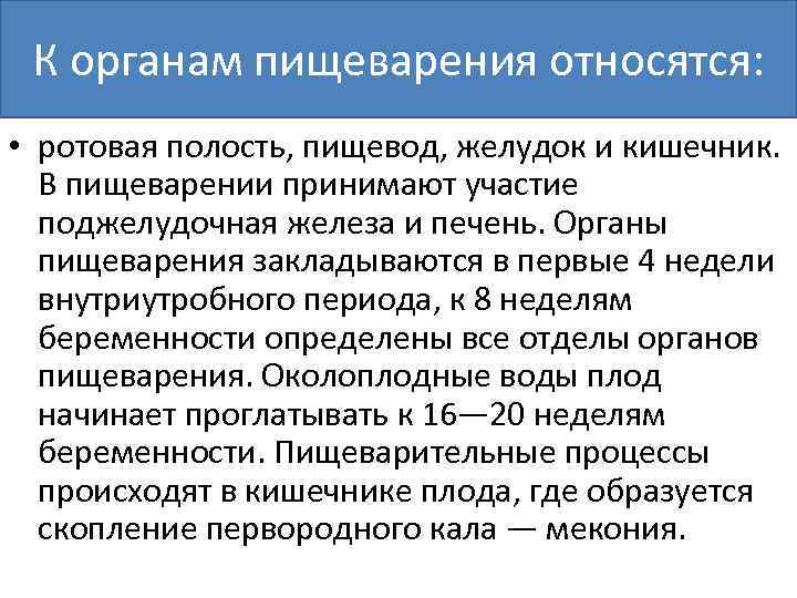 К органам пищеварения относятся: • ротовая полость, пищевод, желудок и кишечник. В пищеварении принимают