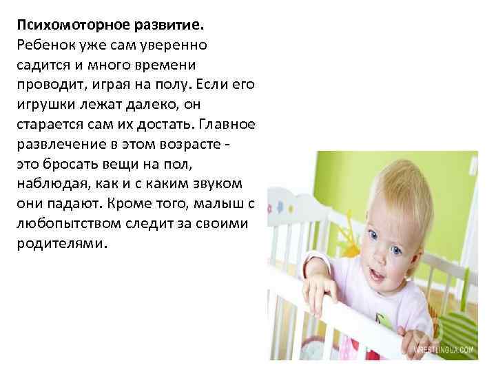 Психомоторное развитие. Ребенок уже сам уверенно садится и много времени проводит, играя на полу.