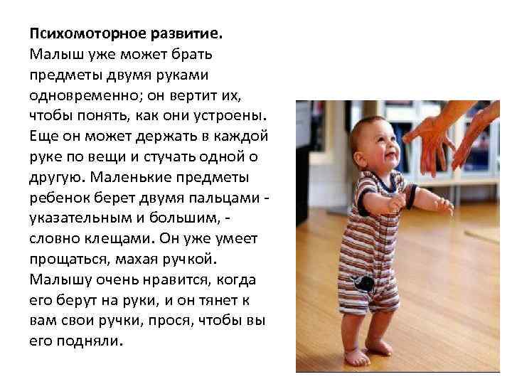 Психомоторное развитие. Малыш уже может брать предметы двумя руками одновременно; он вертит их, чтобы
