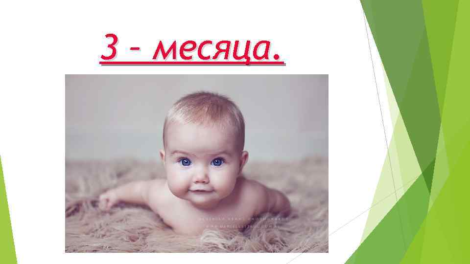 3 – месяца. 
