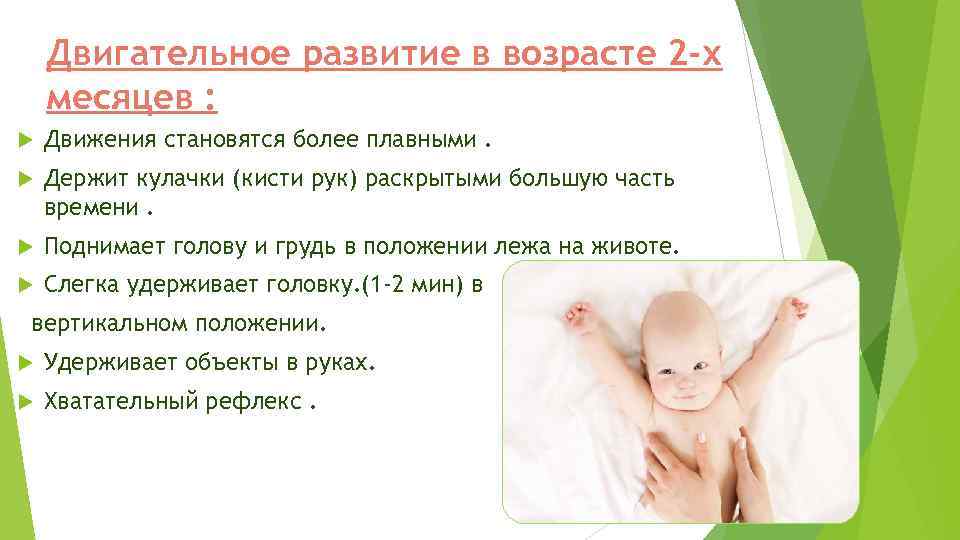 Двигательное развитие в возрасте 2 -х месяцев : Движения становятся более плавными. Держит кулачки