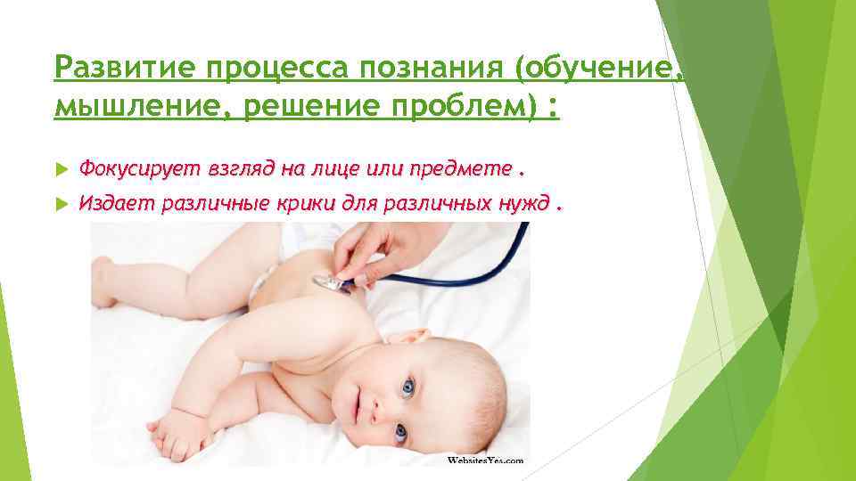 Развитие процесса познания (обучение, мышление, решение проблем) : Фокусирует взгляд на лице или предмете.