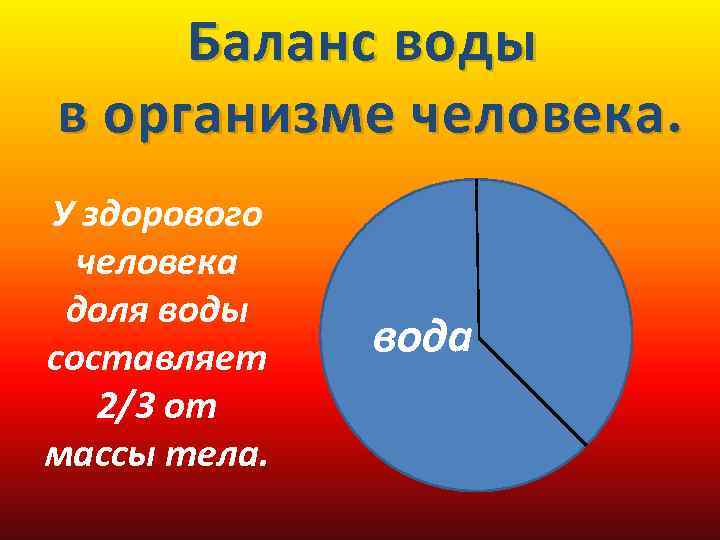 Баланс воды в организме человека. У здорового человека доля воды составляет 2/3 от массы