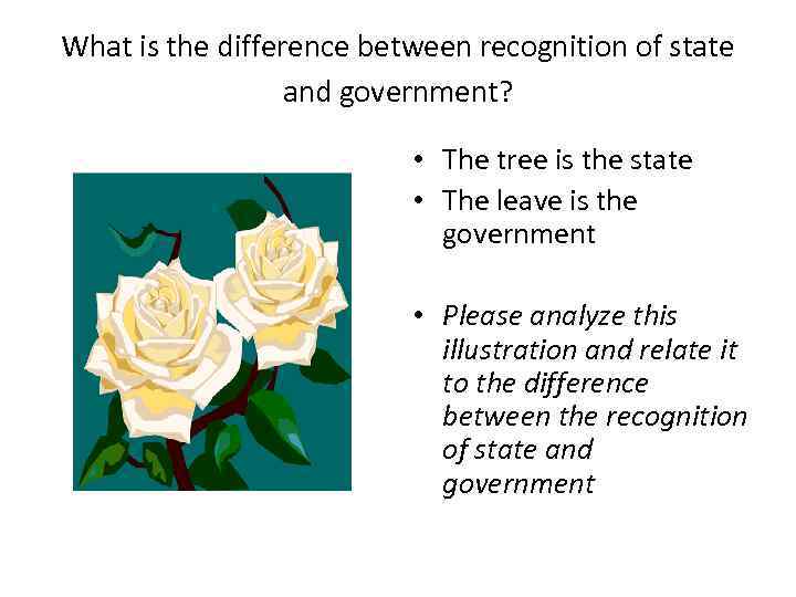 What is the difference between recognition of state and government? • The tree is