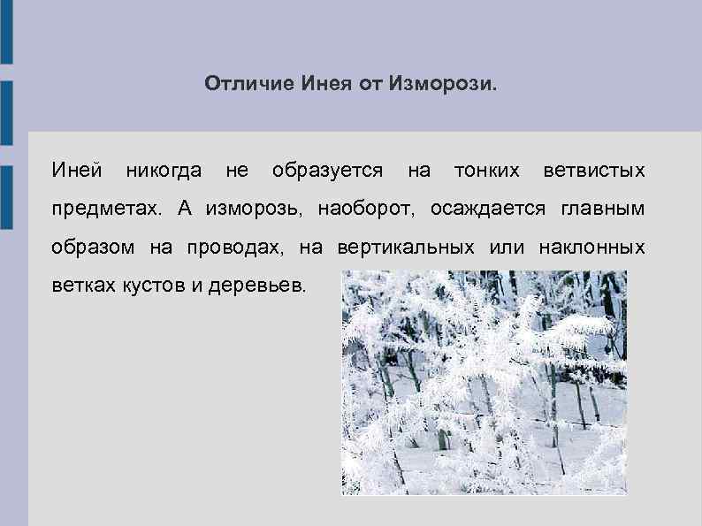 Иней текст. Условия возникновения изморози. Интересные факты об инее. Отличие инея от изморози. Условие образования изморози.