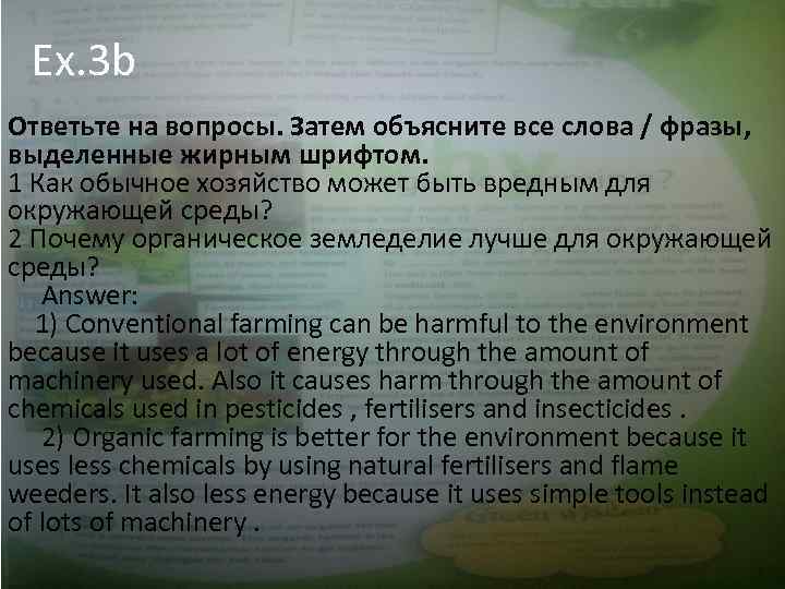 Ex. 3 b Ответьте на вопросы. Затем объясните все слова / фразы, выделенные жирным