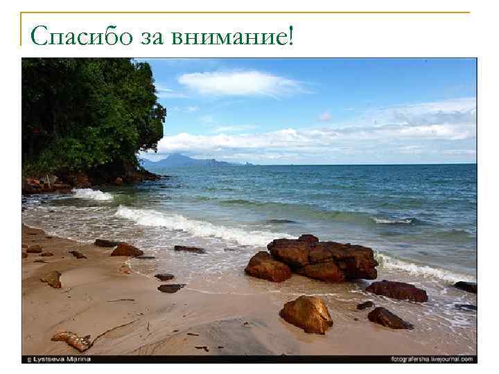 Спасибо за внимание! 