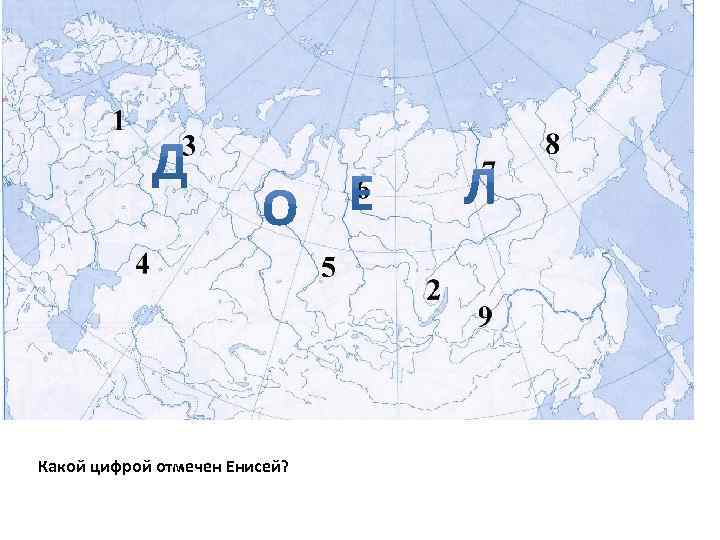 Под какой цифрой находится