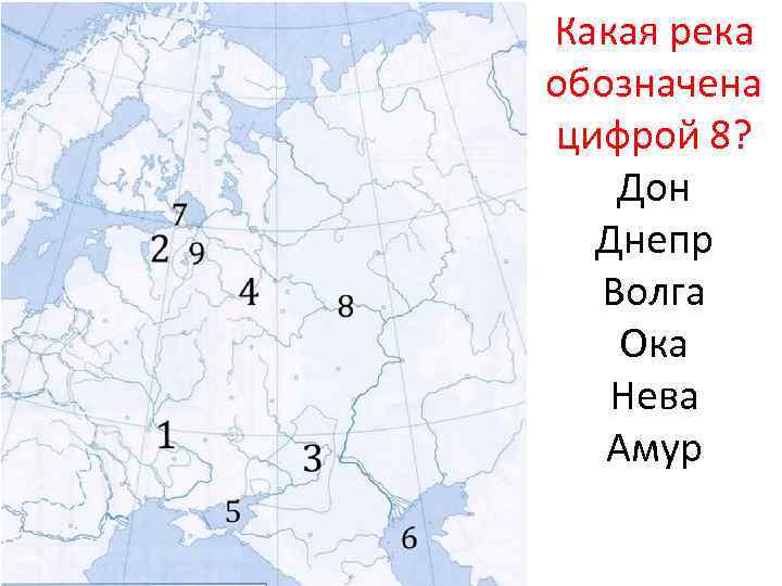 Какая река обозначена цифрой 8? Дон Днепр Волга Ока Нева Амур 