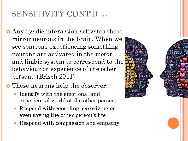 SENSITIVITY CONT’D … Any dyadic interaction activates these mirror neurons in the brain. When