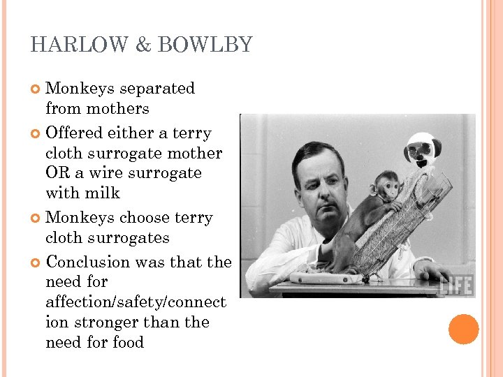 HARLOW & BOWLBY Monkeys separated from mothers Offered either a terry cloth surrogate mother