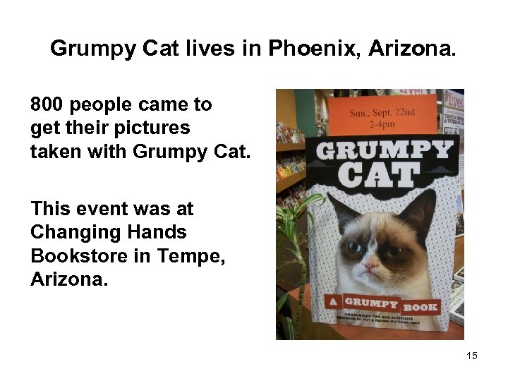 Grumpy Cat lives in Phoenix, Arizona. 800 people came to get their pictures taken