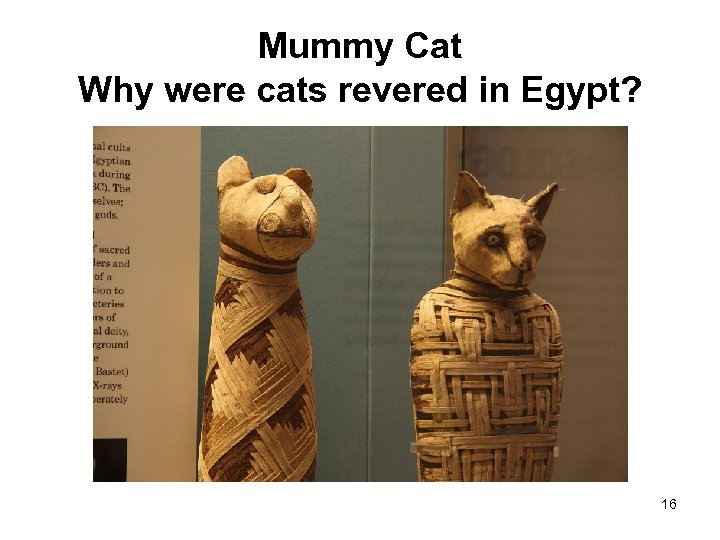 Mummy Cat Why were cats revered in Egypt? 16 