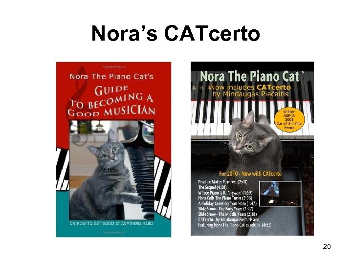 Nora’s CATcerto 20 