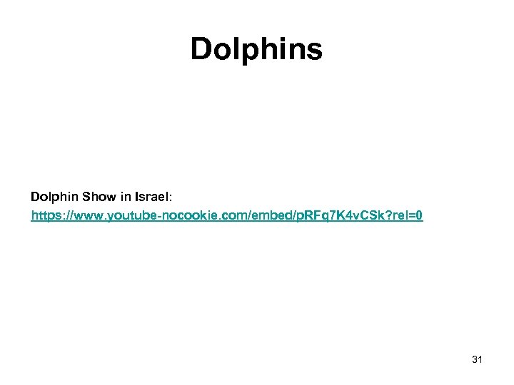 Dolphins Dolphin Show in Israel: https: //www. youtube-nocookie. com/embed/p. RFq 7 K 4 v.