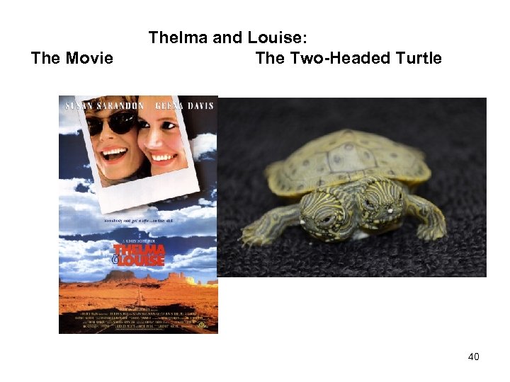 The Movie Thelma and Louise: The Two-Headed Turtle 40 