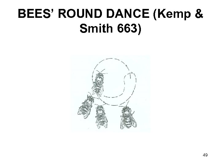 BEES’ ROUND DANCE (Kemp & Smith 663) 49 