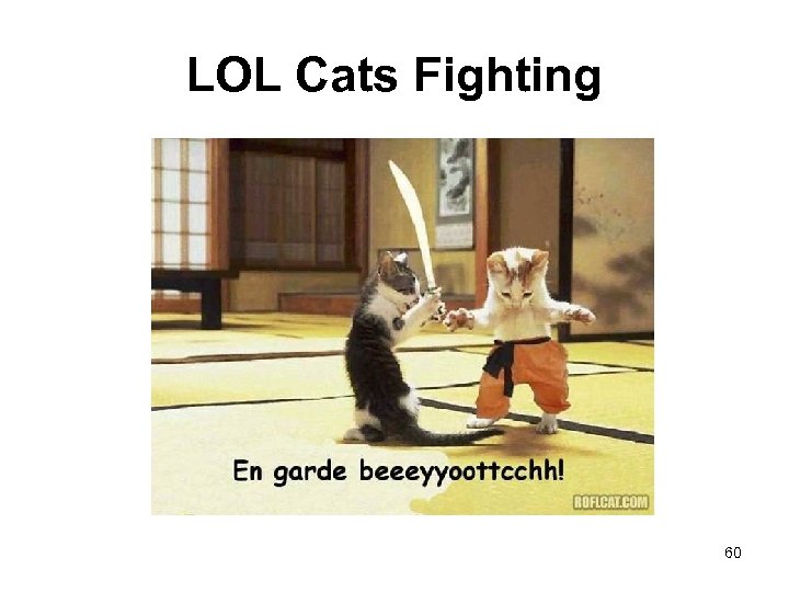 LOL Cats Fighting 60 