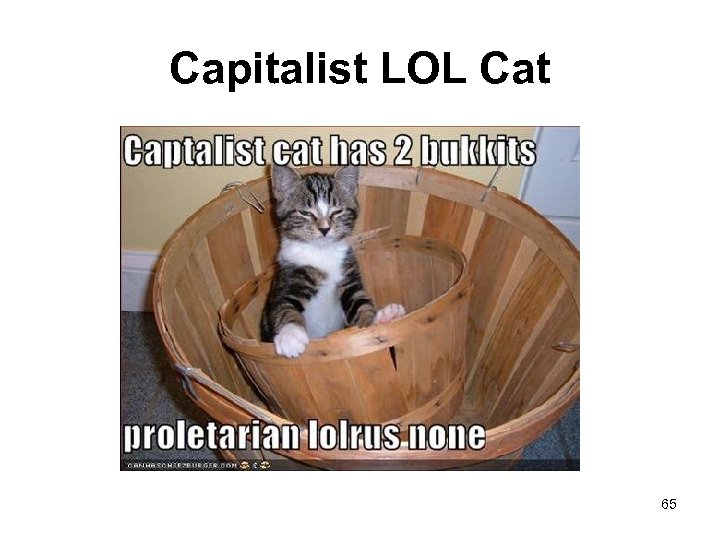 Capitalist LOL Cat 65 