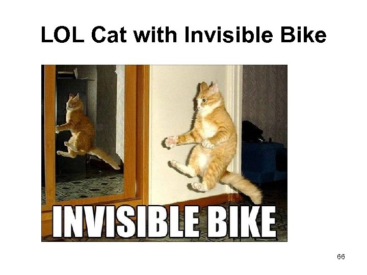 LOL Cat with Invisible Bike 66 