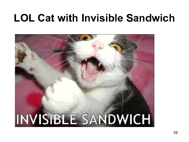 LOL Cat with Invisible Sandwich 68 