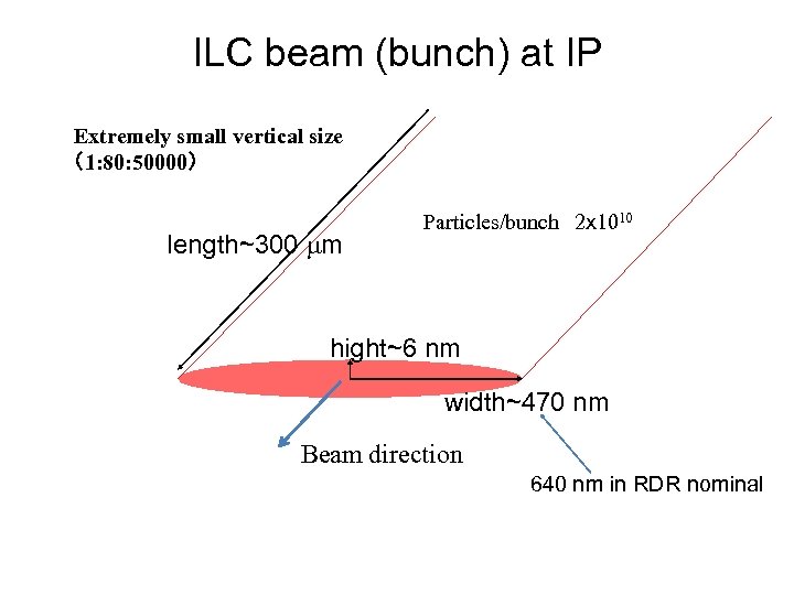 ILC beam (bunch) at IP Extremely small vertical size （1: 80: 50000） length~300 mm