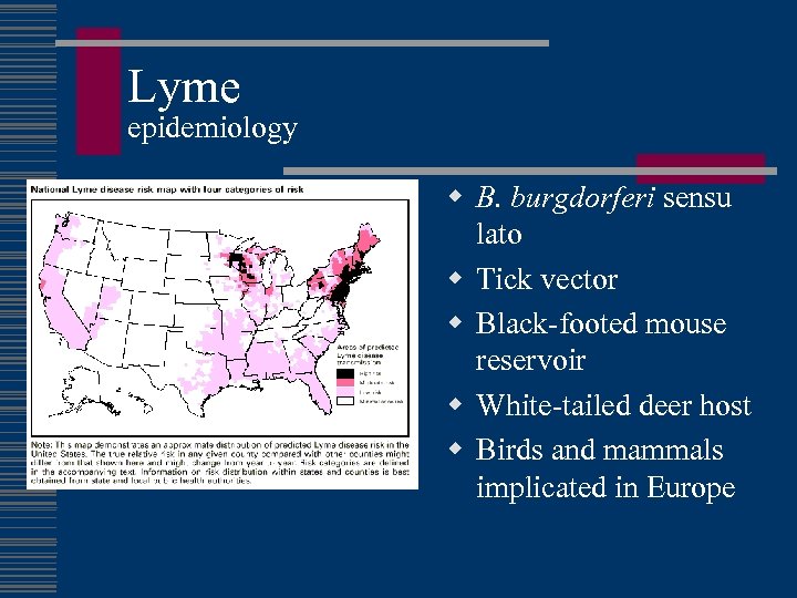 Lyme epidemiology w B. burgdorferi sensu lato w Tick vector w Black-footed mouse reservoir