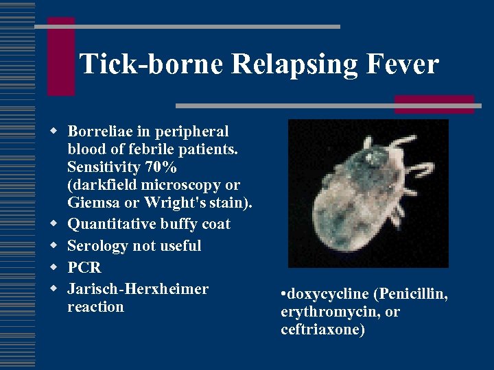 Tick-borne Relapsing Fever w Borreliae in peripheral blood of febrile patients. Sensitivity 70% (darkfield