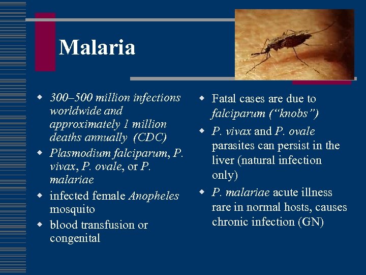 Malaria w 300– 500 million infections worldwide and approximately 1 million deaths annually (CDC)