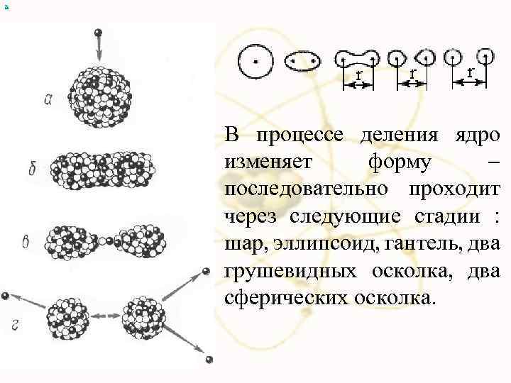 х В процессе деления ядро изменяет форму последовательно проходит через следующие стадии : шар,