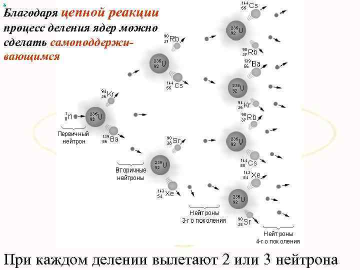 х Благодаря цепной реакции процесс деления ядер можно сделать самоподдерживающимся При каждом делении вылетают