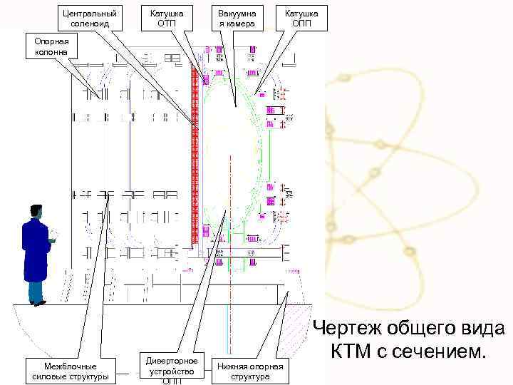 Центральный соленоид Катушка ОТП Вакуумна я камера Катушка ОПП Опорная колонна Межблочные силовые структуры