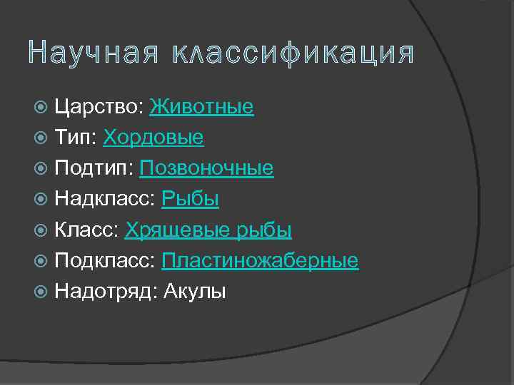 Царство: Животные Тип: Хордовые Подтип: Позвоночные Надкласс: Рыбы Класс: Хрящевые рыбы Подкласс: Пластиножаберные Надотряд: