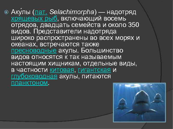  Аку лы (лат. Selachimorpha) — надотряд хрящевых рыб, включающий восемь отрядов, двадцать семейств